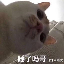 十月一想去山西玩请问云冈石窟和平遥古城的门票需要提前预定吗当天买会不会买不到...马蜂窝