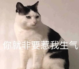 我手上的刀可不长眼睛哦