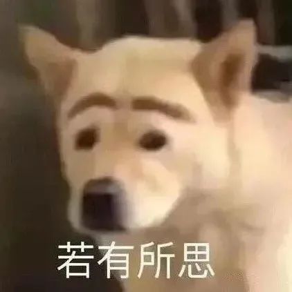 表情包狗狗大家听我说我们都是狗