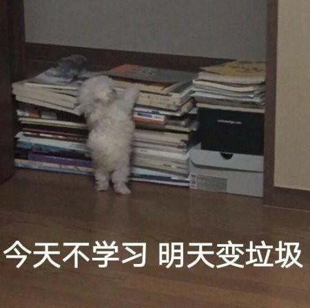 有没有交作业可以带上的表情包跪求