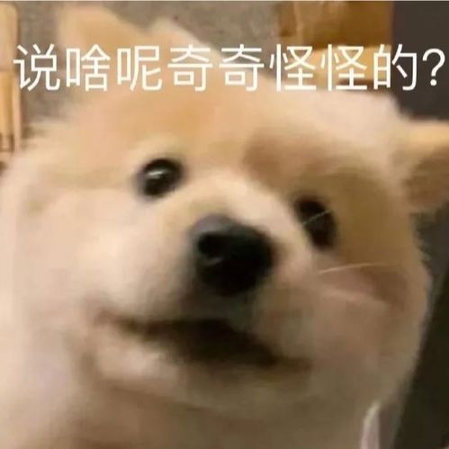 个性好玩表情包大全