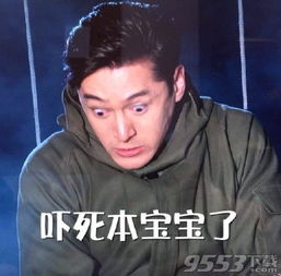 胡歌表情图胡歌表情包下载9553下载