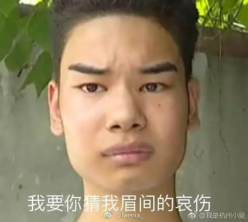 发际线男孩表情包上线,全国人民乐开了花哈哈哈哈哈