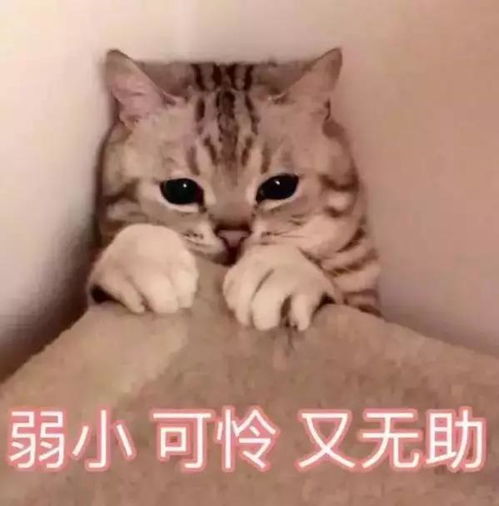 为了骗我家里穷,那些年爸妈撒过的谎,太好笑了