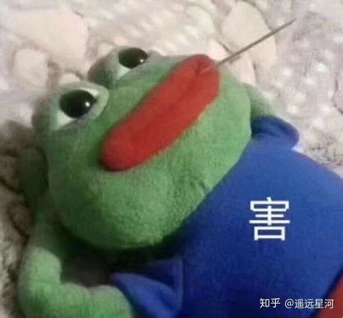 我穿越成了虐文沙雕女主3