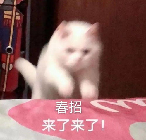 春招即将开始千万不要再错过