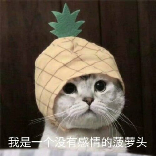前任能不能不要再来加我了.都说的这么明白了