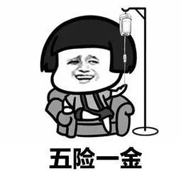 社保要有新变化五险或变四险快看看你有没有吃亏