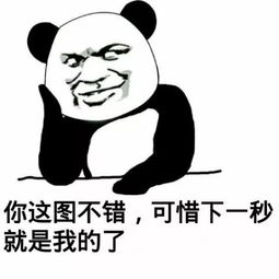 21世纪最烂的19款手机,有你用过的吗