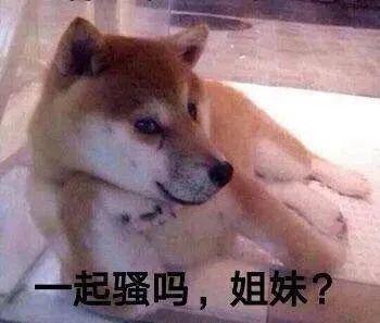 某书上的野餐攻略快要看吐了这才是五一制霸朋友圈的最强秘籍