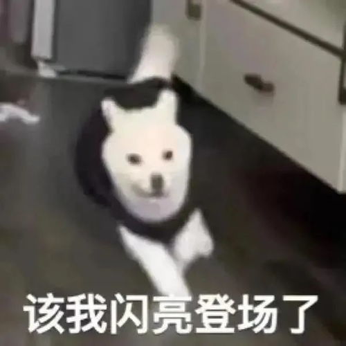 沙雕表情包该我闪亮登场了