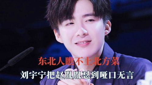 东北人却瞧不上北方菜系在节目中大肆诋毁,气的刘宇宁当场怒怼