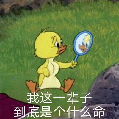 弱小可怜又无助的表情包
