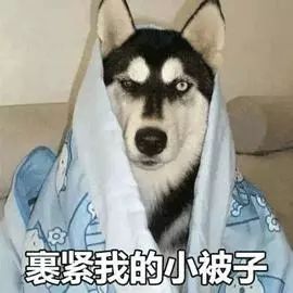 裹住我的小被子表情包