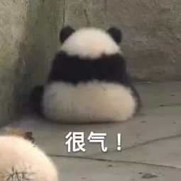 我见过最阿骚的上门女婿,好好一个家毁了
