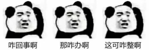 小猪佩奇表情包高清试探