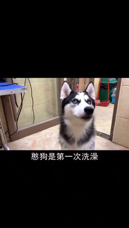 有哪些优质的抖音账号值得推荐