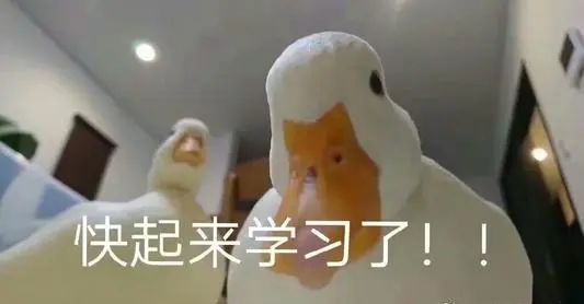 2021一期学生作品