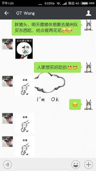 跟男朋友的聊天记录,只发表情图,后来就不回我信息了,我该和他继续在一起吗