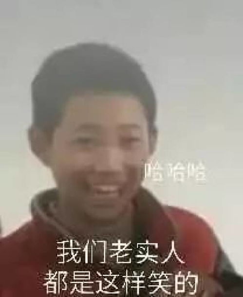 斗图表情包潜水搞笑gif