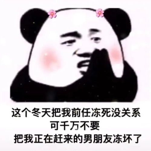 可爱沙雕表情包零下几度,可别冻坏了我的宝贝
