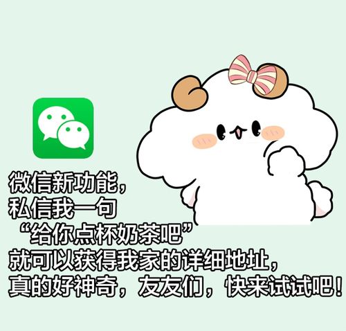表情包分享为什么不回我消息,就因为我没发吗