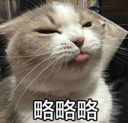 最全可爱猫咪表情合集