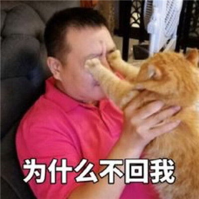 对方已读不回时怼人表情包对方不回消息专用热门表情