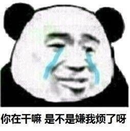 表情包十七丨你在干嘛是不是嫌我烦了呀