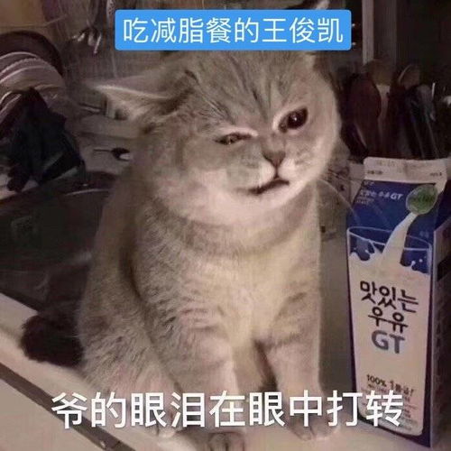 分享一组减脂时的王俊凯纪实摄影小俊接下来要好好吃饭啊
