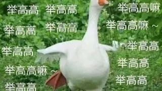 丑鸭子表情包要抱抱