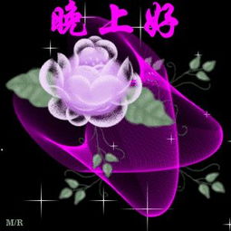 晚上好表情包晚上好微信表情
