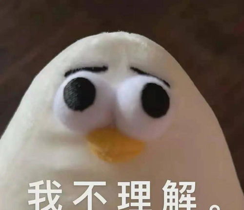 长孙表姐两岁了,长孙姑父还没入豪门