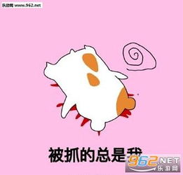 王者荣耀仓鼠表情包仓鼠版王者荣耀表情包下载高清无水印版乐游网游戏下载