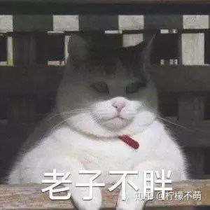有没有比较搞怪的文案和表情包,来分享下吧
