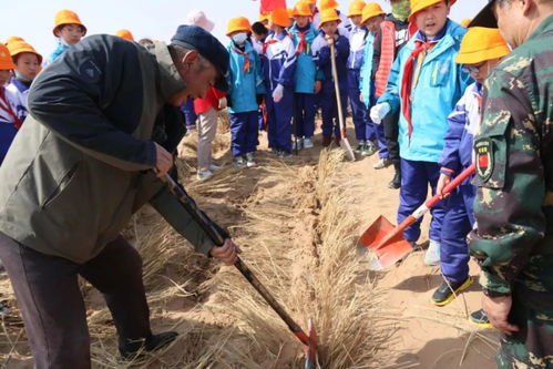学党史,感党恩,永远跟党走金昌市中青年教育培训中心在行动