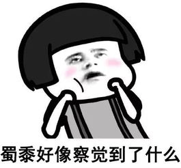 作死惯偷顺走手机后,竟故意将身份证留在了现场,甚至还投诉警察......