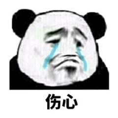 熊猫头表情包抱歉,您哪位