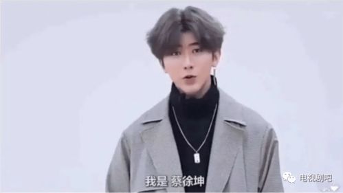 迪丽热巴发文为杨幂庆生却因用蔡徐坤表情包被撕