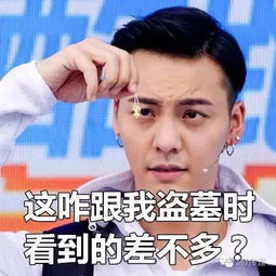 陈伟霆是男神中的表情包制造商