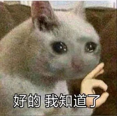 和爸妈聊天千万别发表情包你压根猜不到他们会理解成什么哈哈哈哈哈哈哈哈哈