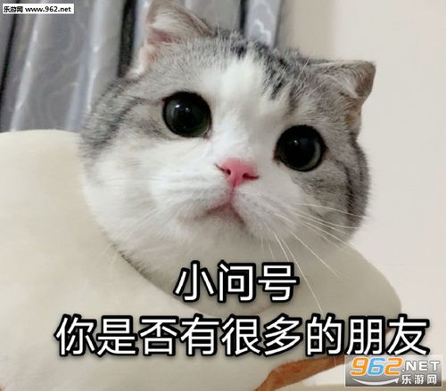 小问号你是否有很多朋友图片小问号你是否有很多朋友表情包下载乐游网游戏下载