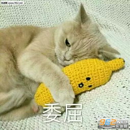 敲可爱猫咪qq表情包可爱的猫咪表情包带字最新合集下载乐游网游戏下载
