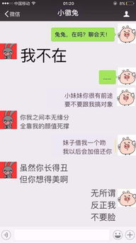 微信竟有这等新功能,聊天斗图更方便