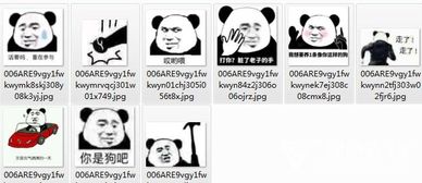 我想要养一条像你这样的狗表情包我想要养一条像你这样的狗图片高清版软件下载