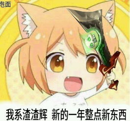 给我也整一个每日表情包十二