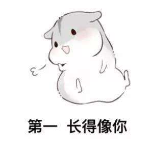 抖音仓鼠表白系列表情包你知道我的择偶标准吗套路图片大全