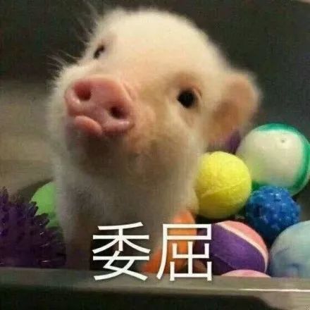 委屈哭的小女孩表情包肉干