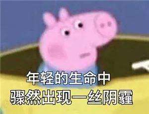 抖音社会人小猪佩奇高清无水印表情包分享
