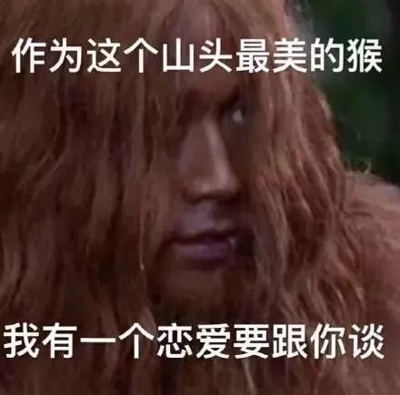 糟糕,我迷上了这感天动地的社会主义兄弟情
